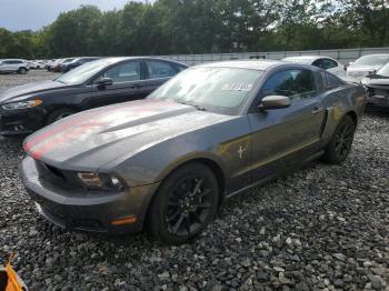  Salvage Ford Mustang