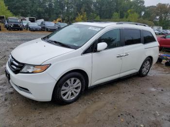  Salvage Honda Odyssey