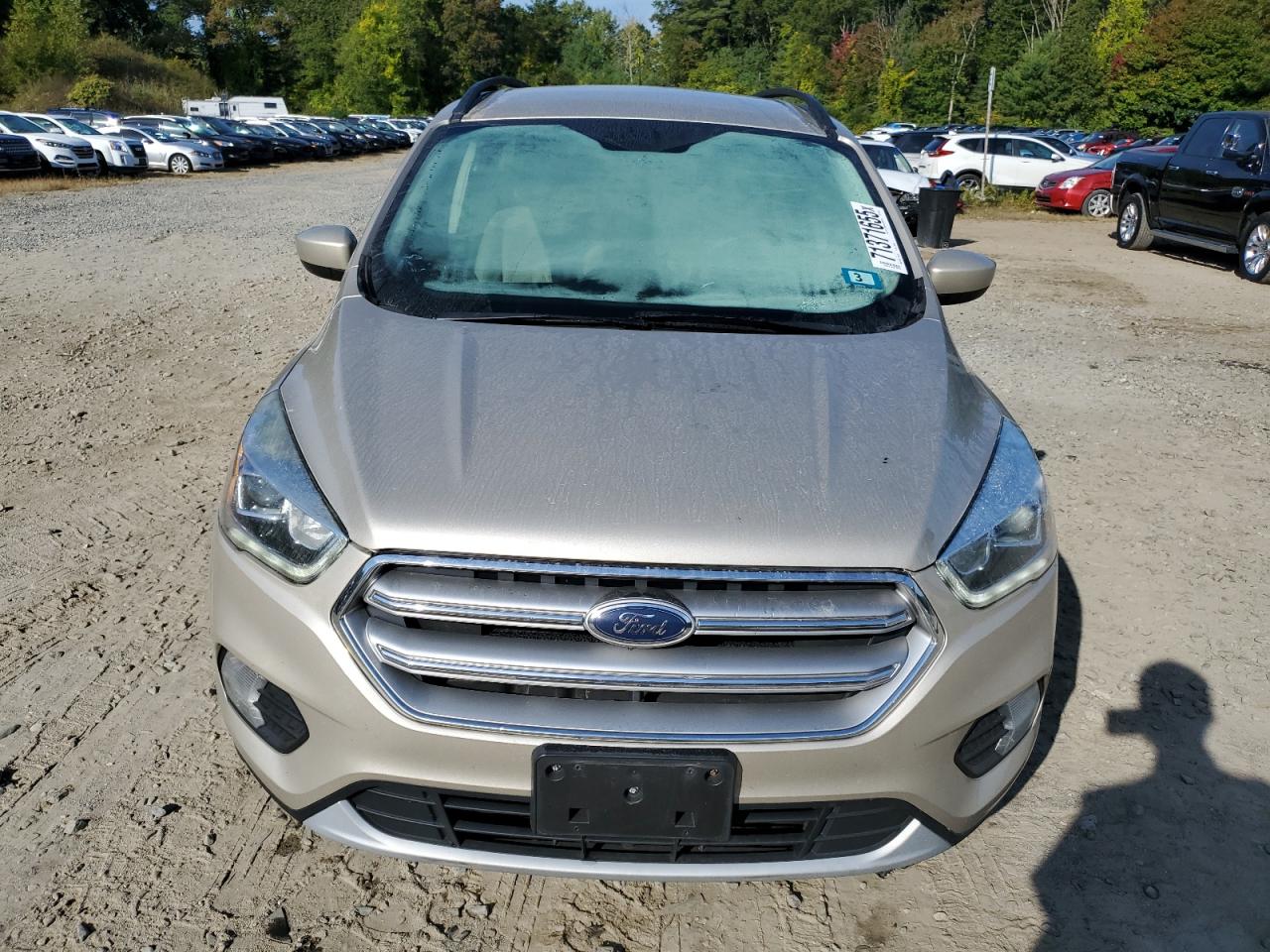 Ford Escape Se Image 3