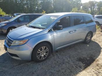 Salvage Honda Odyssey