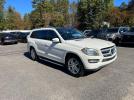 Mercedes-Benz G-Class 450 4matic Image 1