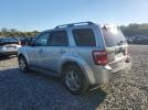 Ford Escape Limited Image 8