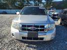 Ford Escape Limited Image 4