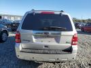 Ford Escape Limited Image 7
