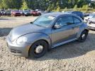 Volkswagen Beetle Image 1