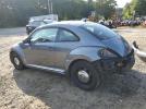 Volkswagen Beetle Image 3