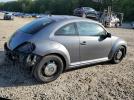 Volkswagen Beetle Image 6
