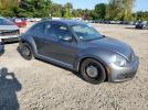 Volkswagen Beetle Image 8