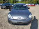 Volkswagen Beetle Image 13