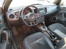 Volkswagen Beetle Image 5
