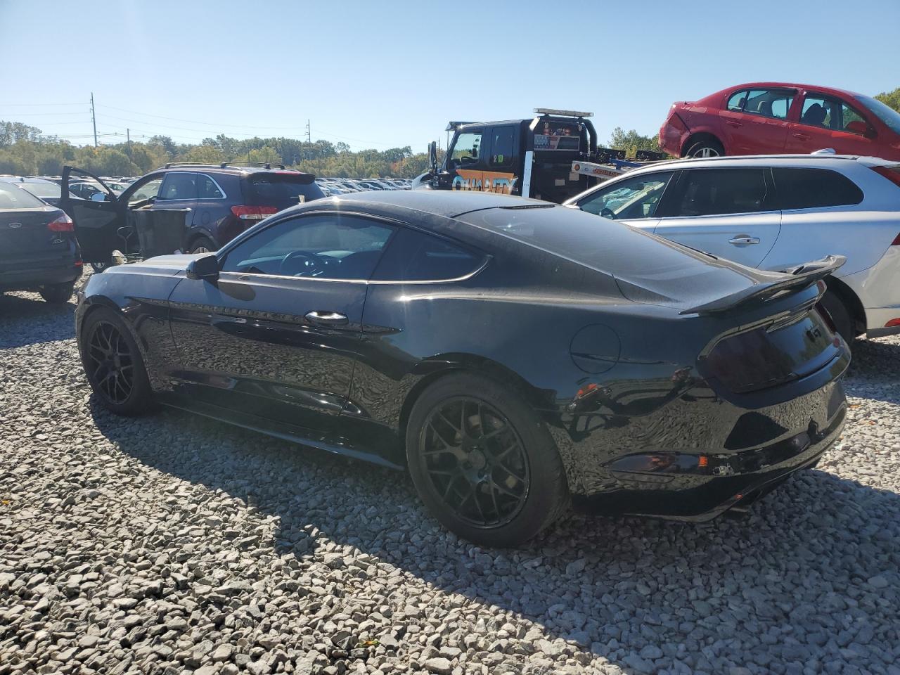 Ford Mustang Gt Image 2