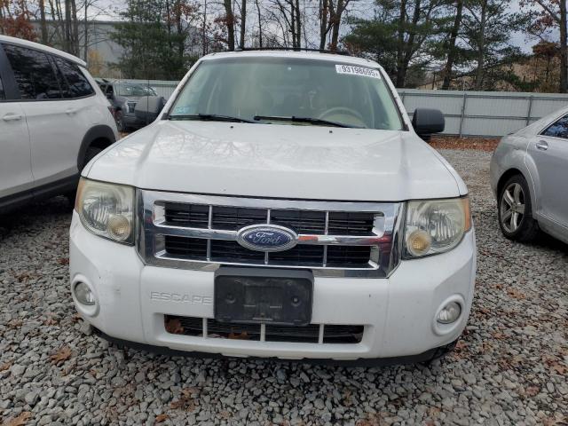 Ford Escape Xlt Image 12