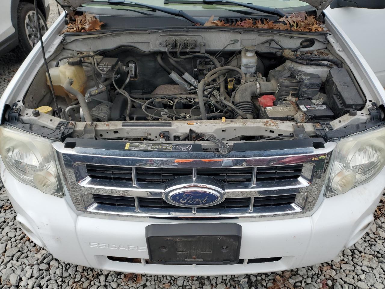 Ford Escape Xlt Image 11
