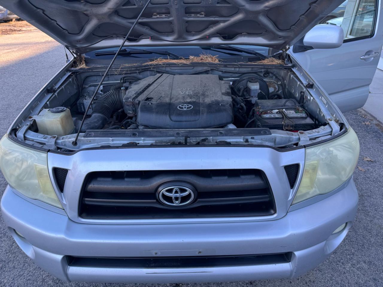 Toyota Tacoma Double Cab Prerunner Image 8