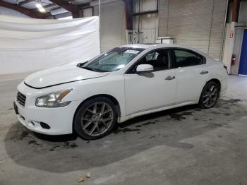  Salvage Nissan Maxima