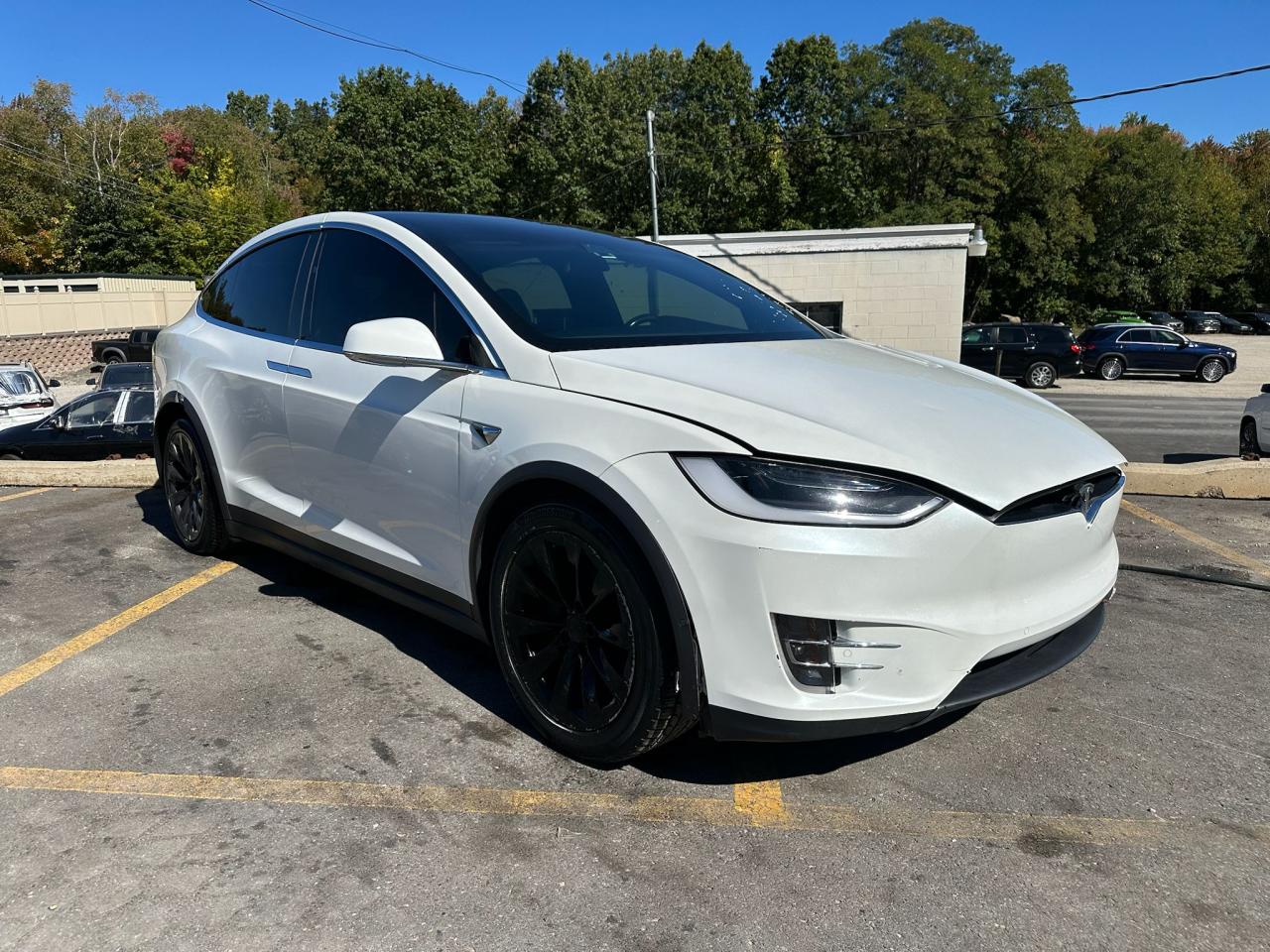 Tesla Model X Image 5