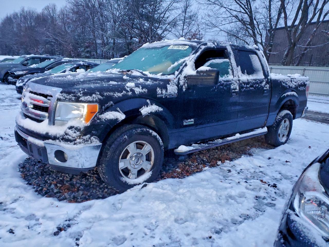 Ford F-150 Supercrew Image 1