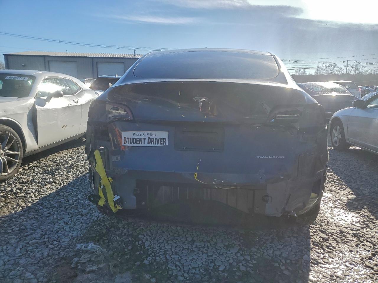 Tesla Model Y Image 4
