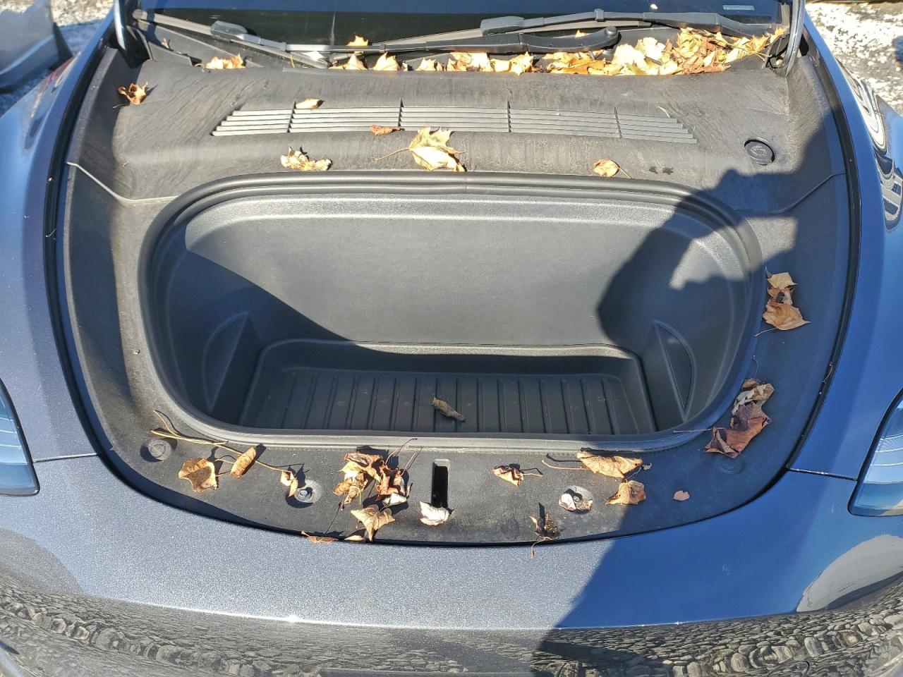 Tesla Model Y Image 8