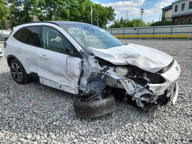 Ford Escape Se Image 7