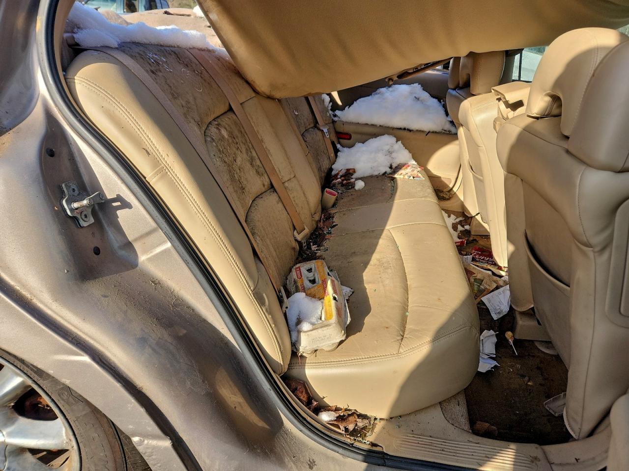 Buick LeSabre Limited Image 5