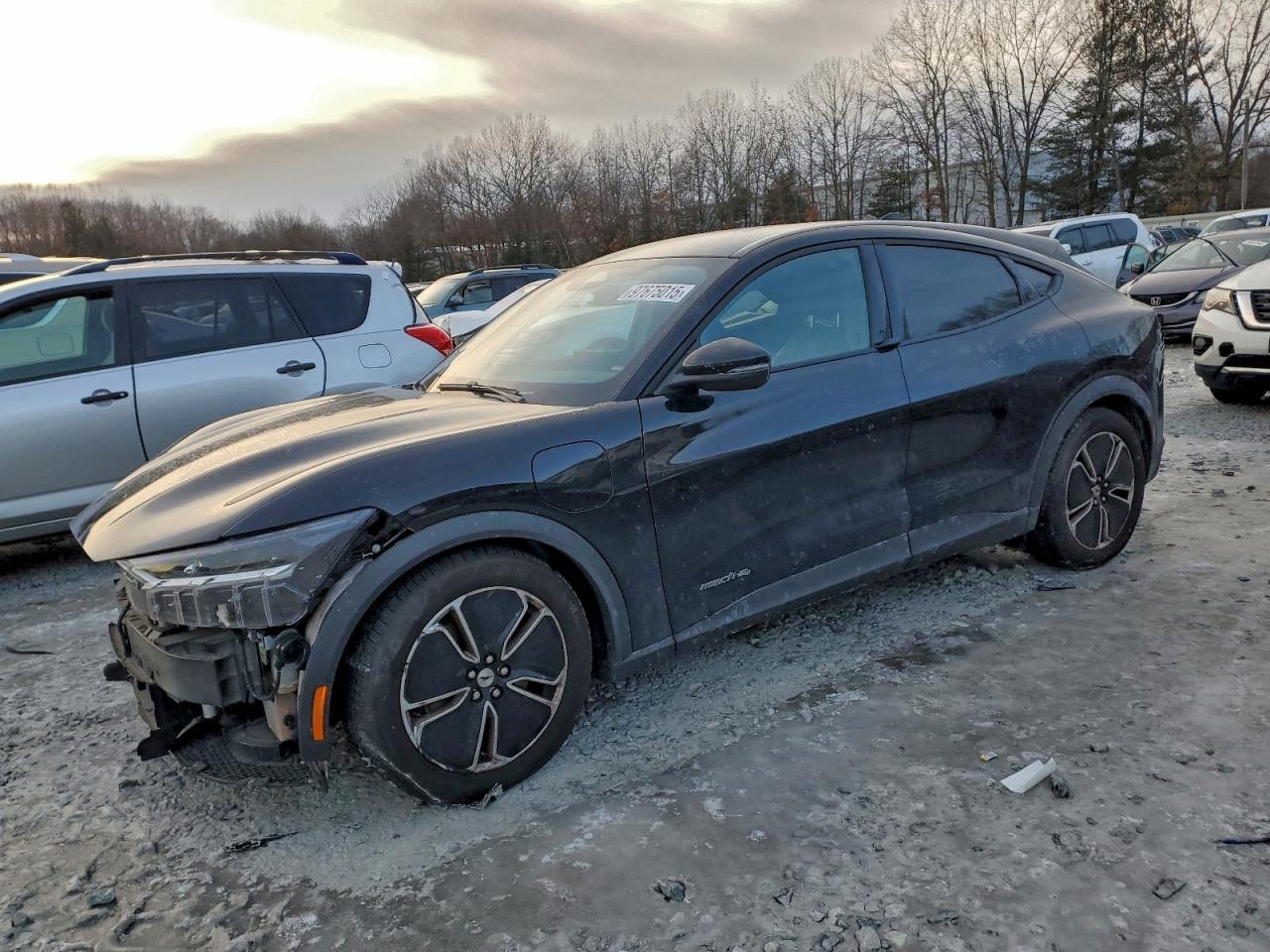 Ford Mustang Select Image 1