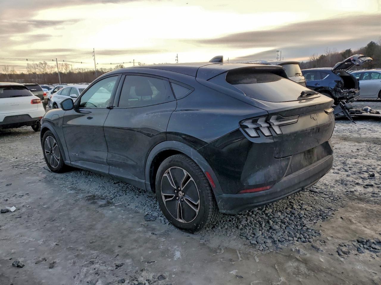 Ford Mustang Select Image 13