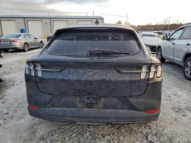 Ford Mustang Select Image 3