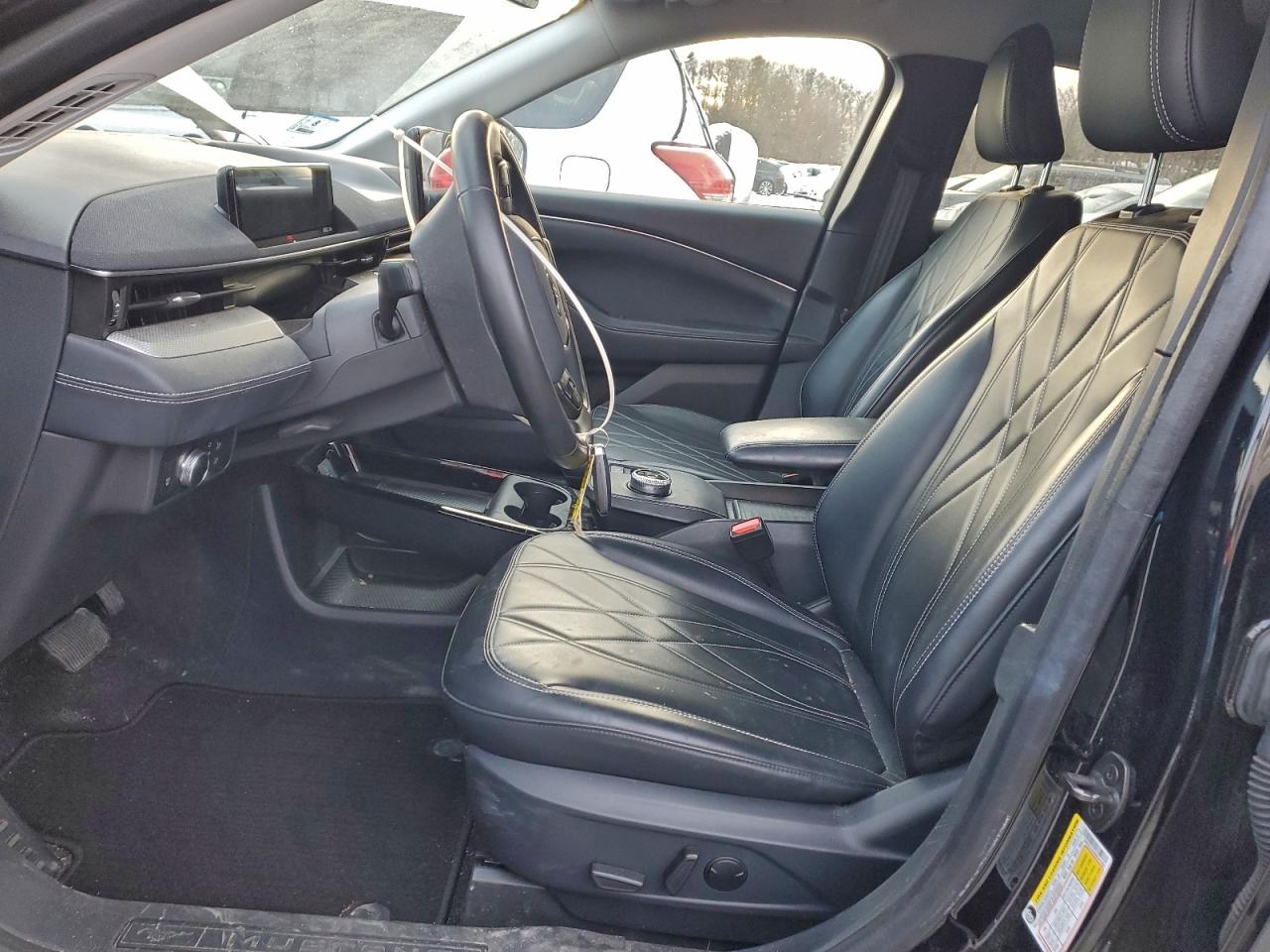 Ford Mustang Select Image 5