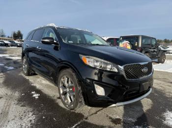 Salvage Kia Sorento