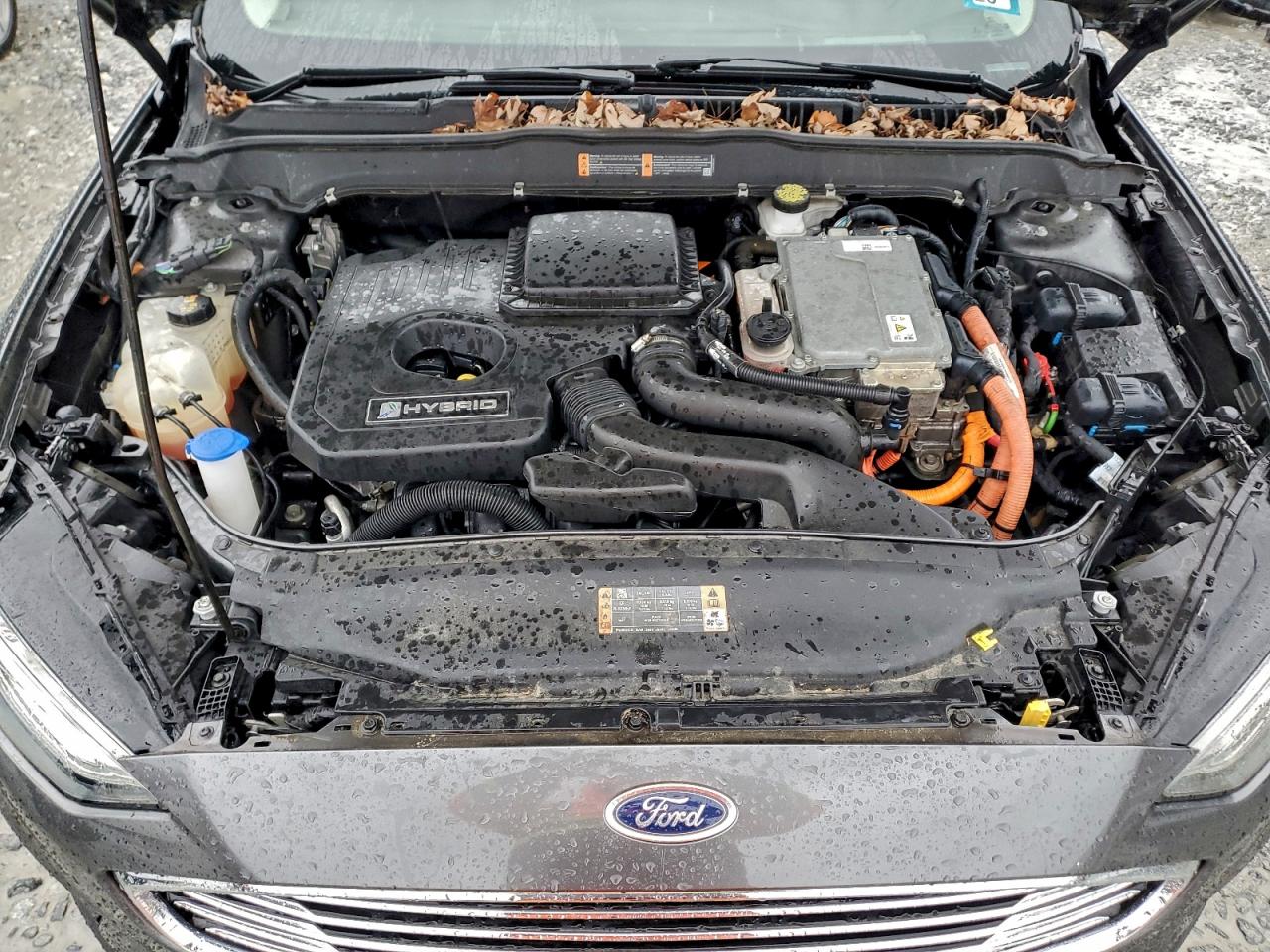 Ford Fusion Se Image 8