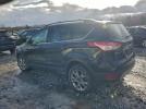Ford Escape Sel Image 12