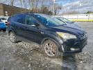 Ford Escape Sel Image 10