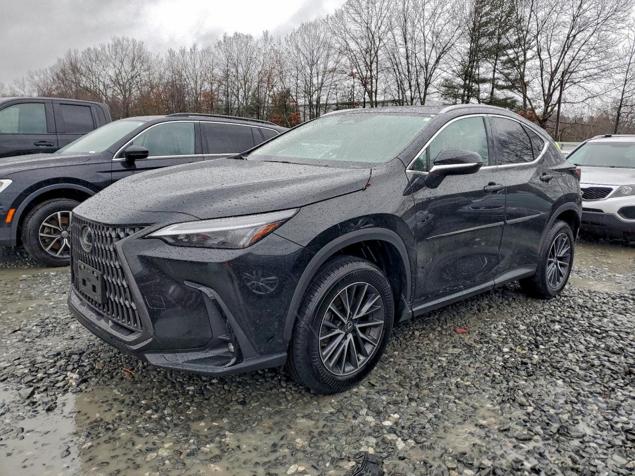 Lexus NX 250 Premium Image 1