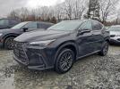 Lexus NX 250 Premium Image 1