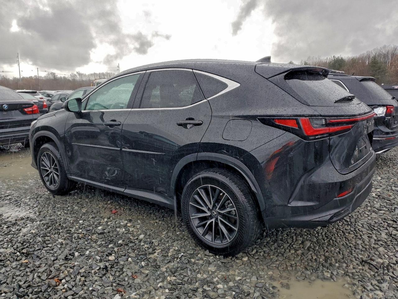 Lexus NX 250 Premium Image 2