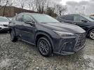 Lexus NX 250 Premium Image 13