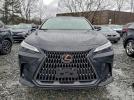 Lexus NX 250 Premium Image 12
