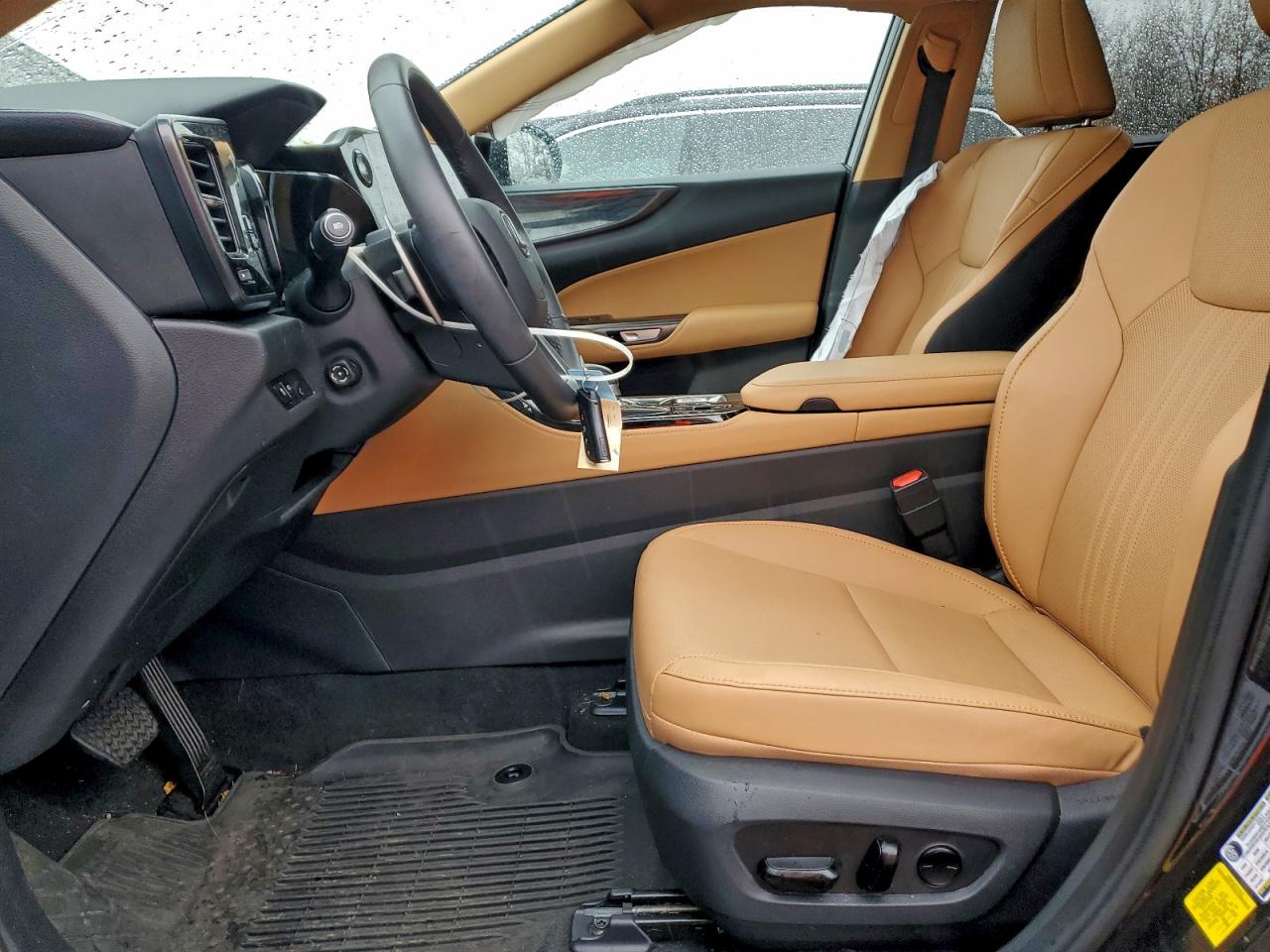 Lexus NX 250 Premium Image 10