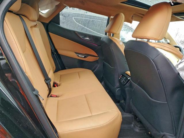 Lexus NX 250 Premium Image 7