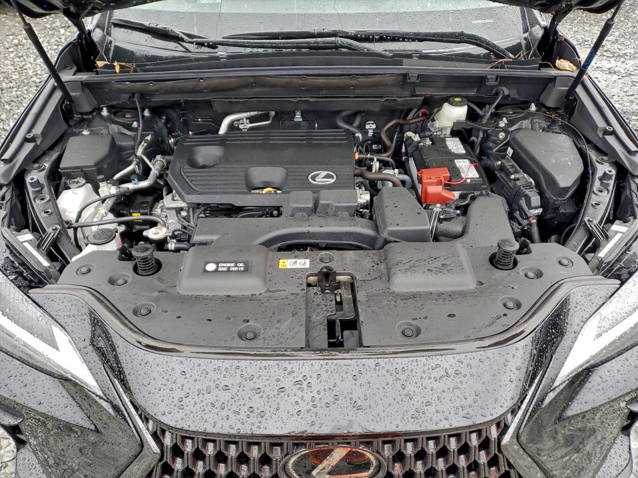 Lexus NX 250 Premium Image 5