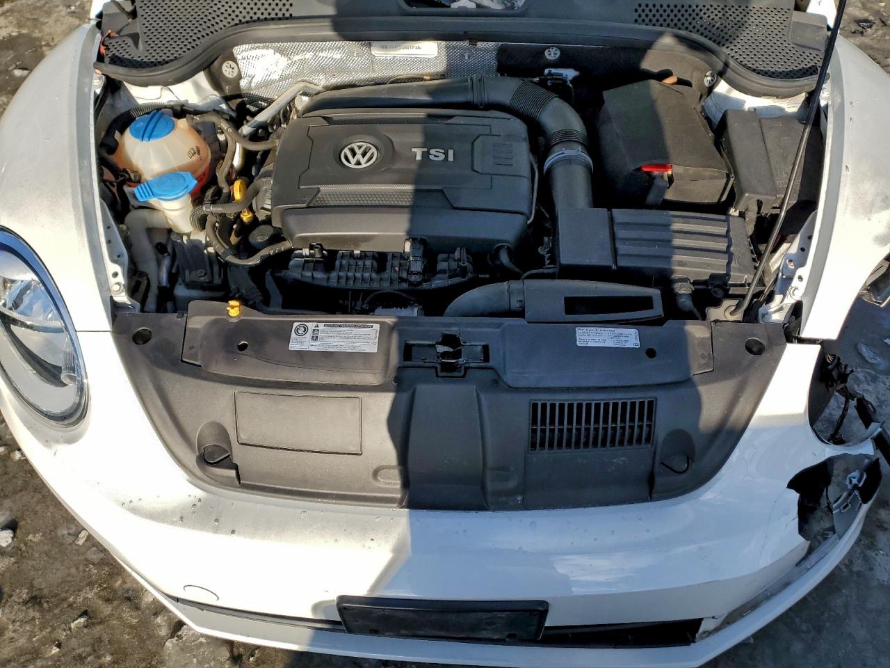 Volkswagen Beetle S/se Image 10