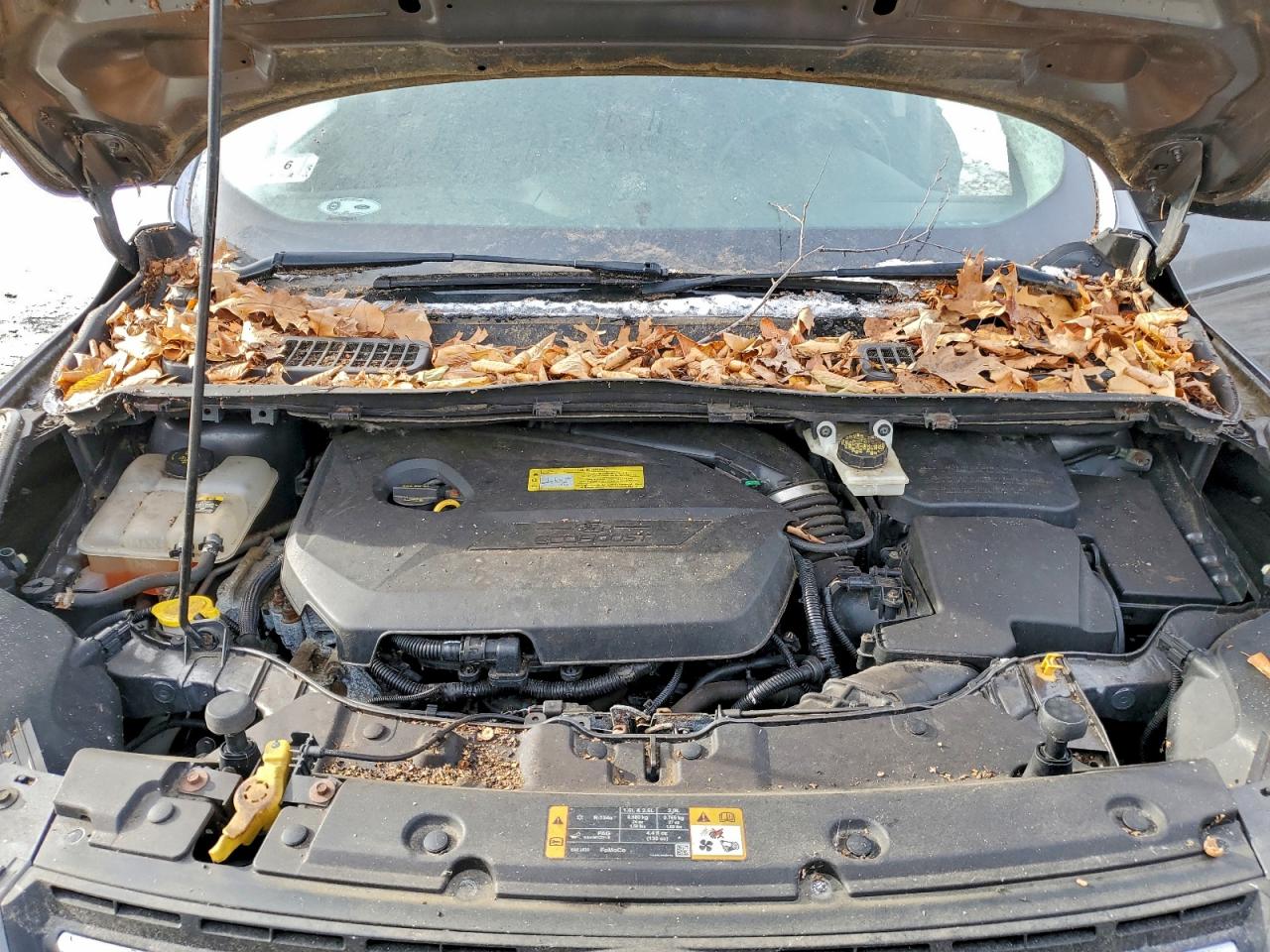 Ford Escape Se Image 11