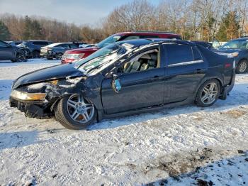  Salvage Acura TL