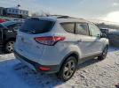 Ford Escape Se Image 5