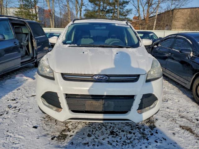 Ford Escape Se Image 11