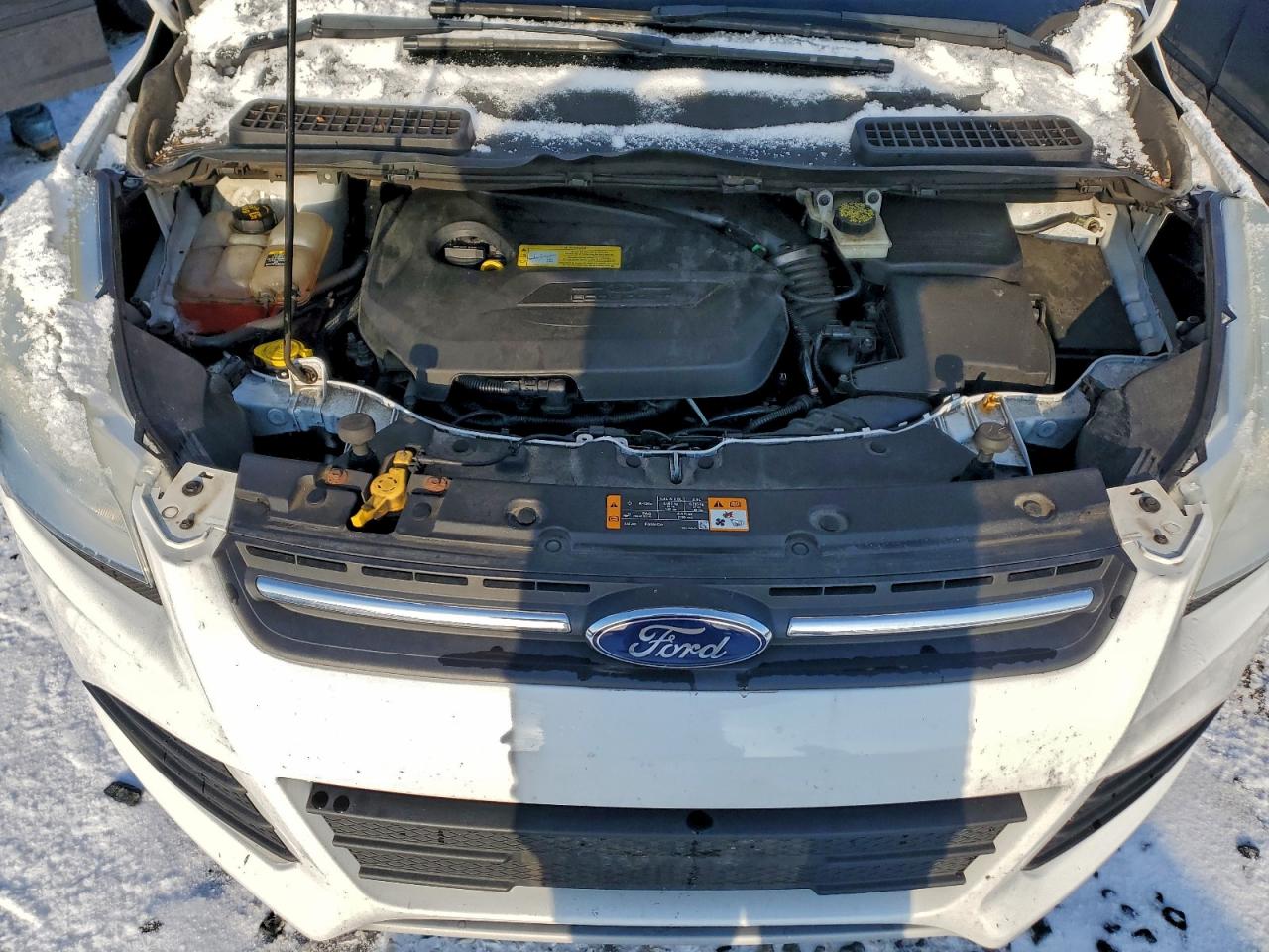 Ford Escape Se Image 10