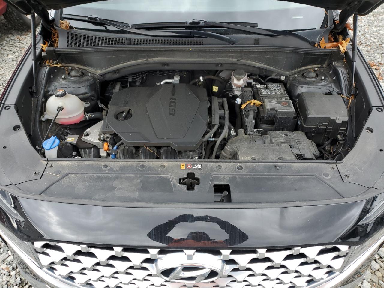 Hyundai SANTA FE Sel Image 11