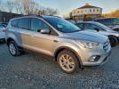 Ford Escape Se Image 9