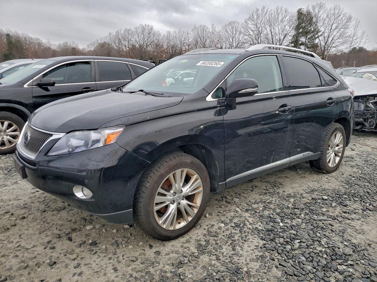 Lexus RX 450h Image 1